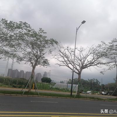 A生生长盛：知道这是在哪吗？这可是在深圳