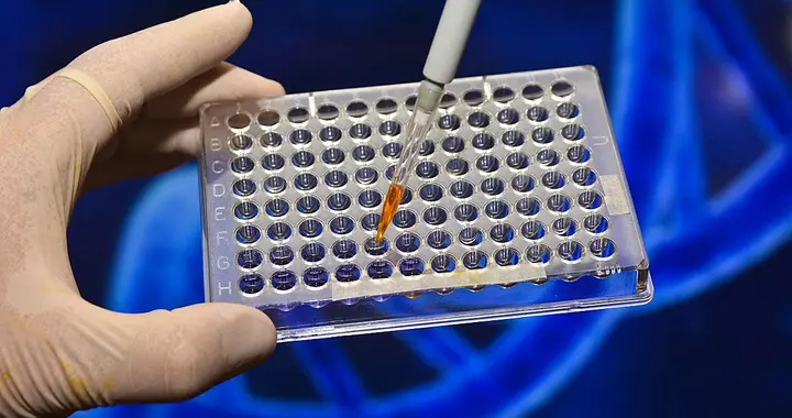 高市搞砸了，特朗普直接掀桌子，美国同意中国需求，但有一个要求