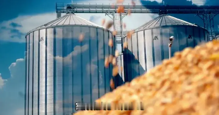 农历新年首拍最低价小麦成交率大幅度下降