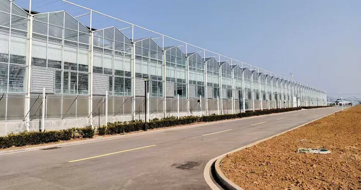 什么是智能温室？