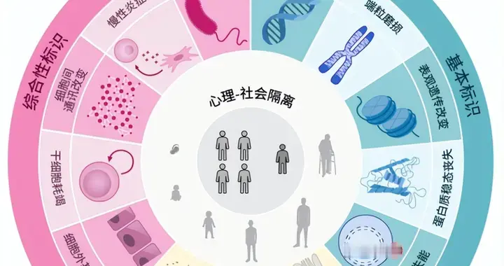 从健康中国到主动健康：​中医药抗衰老如何应国家健康战略转型？