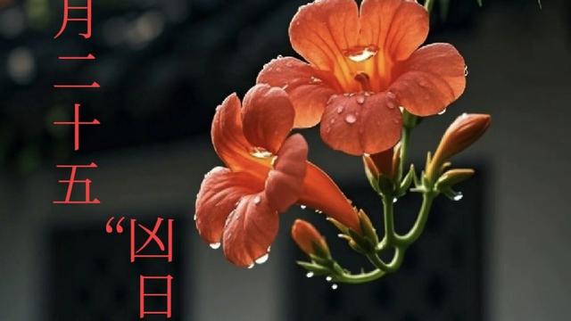 龙儿美食：不是迷信，今日二月二十五“凶日