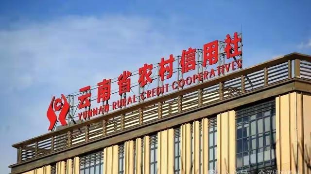 八一文库：云南农信社招聘标准调整引深思