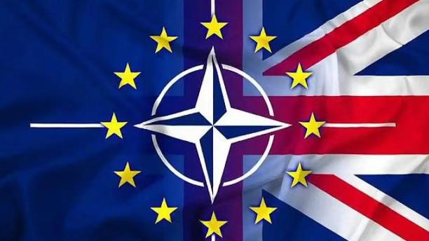 朝阳锋史：狼，终于来了！据央视报道，本月