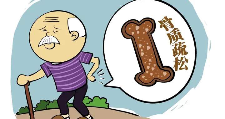骨头变脆，根源可能在肠道，研究发现肠菌移植改善骨质疏松