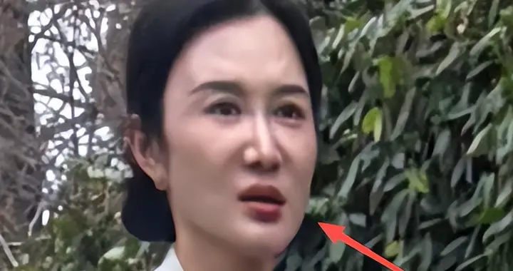 张纪中现身径山寺，小31岁妻子身材干瘪满脸凹坑，拉长脸有夫妻相
