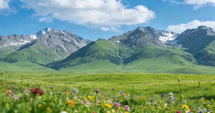 惊掉下巴！吃了30年猪肉
