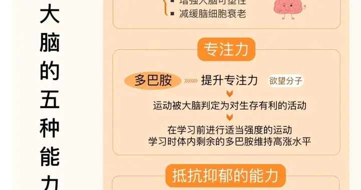 《大脑健身房》体育运动如何帮你的大脑变强？