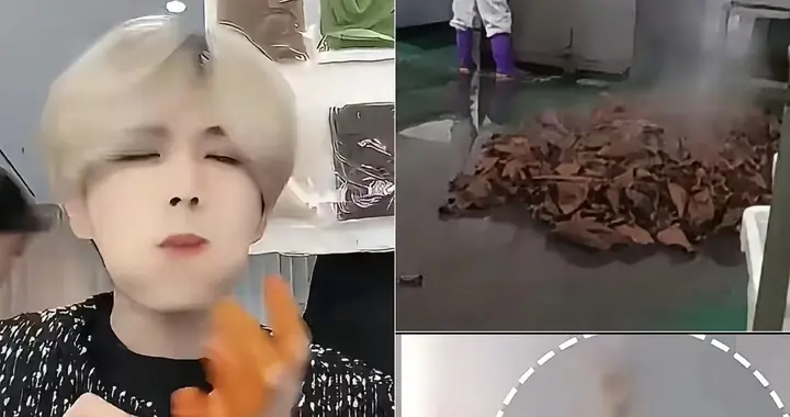 全网怒喊封杀！315曝光坑蒙老百姓的大网红，其中一位或要赔26亿