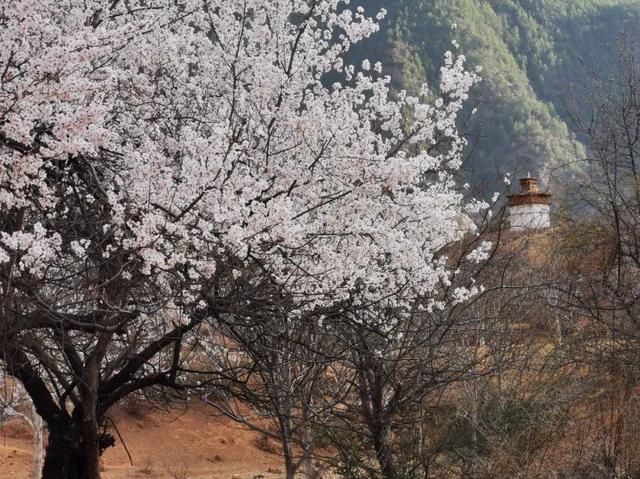 几乎0游客的“桃源地”，不输林芝，风情赛过常德，3、4月出发！