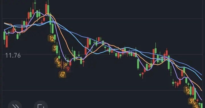 湖北一股民18年死扛一只龙头股，最后亏损80% 。