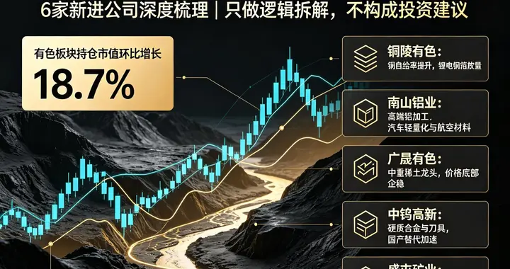 三季度社保调仓有色板块！6家新进公司深度梳理