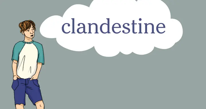 纽约时报 | 外刊每日一词 · clandestine
