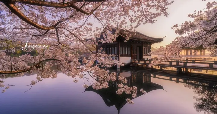 日本终将为高市早苗的疯狂言论付出代价