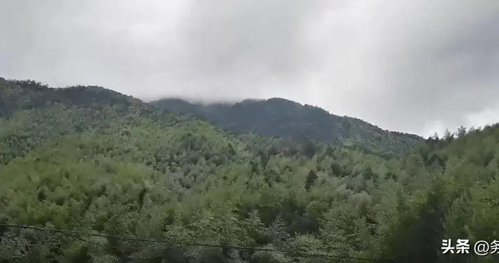 设置中国草原科学研究院 破解草原行政管理与科技支撑衔接不畅难题