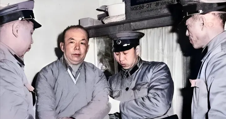 北京胡同里的退休老头，因彩电暴露身份，被抓时才知是特务