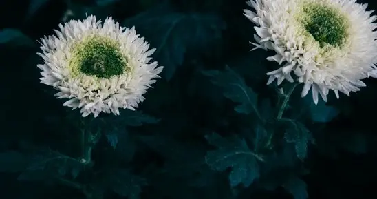 写给文文姐，是开始，也是结束