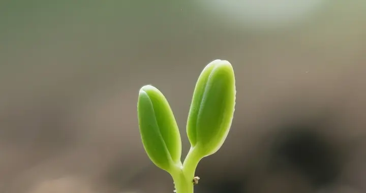 在自己的季节里深深呼吸