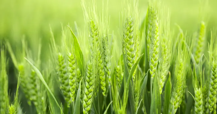 一家公司的衰败，从抓考勤开始