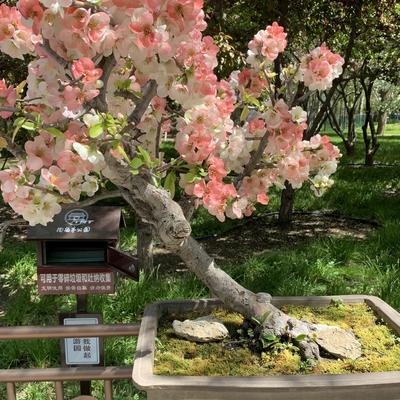 闲人：陶然亭公园打卡