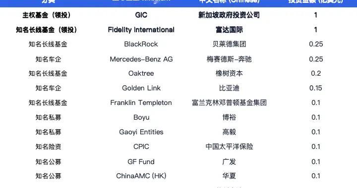 全链路物理 AI 技术落地，14 家全球资本押注 Momenta 长期成长