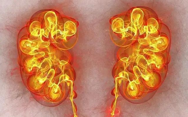 肾中元阳最难补！中医教你一招，温肾火，引火归元，壮肾中元阳！