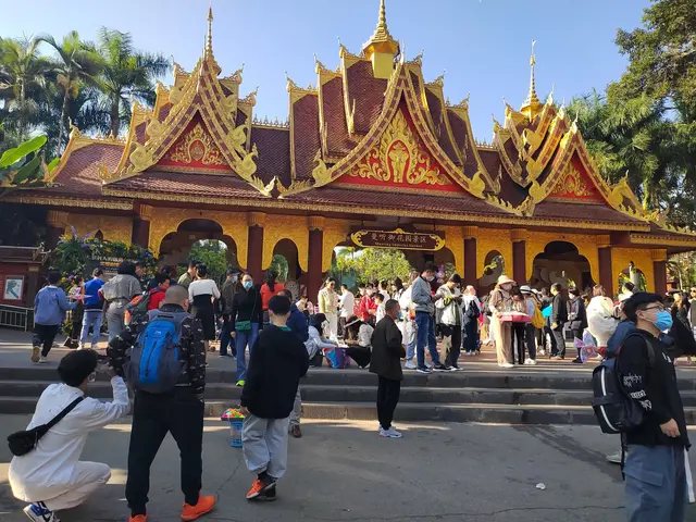 今年冬天北方人去过冬养老，是三亚好还是西双版纳好！