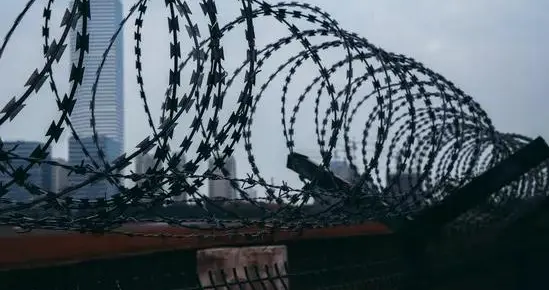 为何会出现老年人犯罪寻求“牢养”现象？