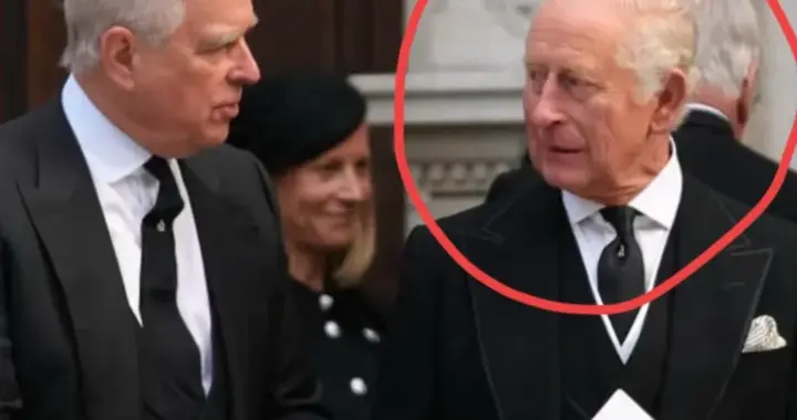 查尔斯彻底“推翻”女王！狠心对待安德鲁，却对哈里王子保留仁慈