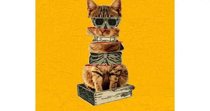 谁杀死了薛定谔的猫？地下1400米的实验排除了一种引力退相干模型