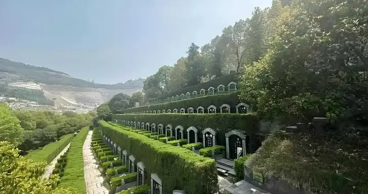 2025殡葬改革放大招！农村到全国，为啥突然全面推进？