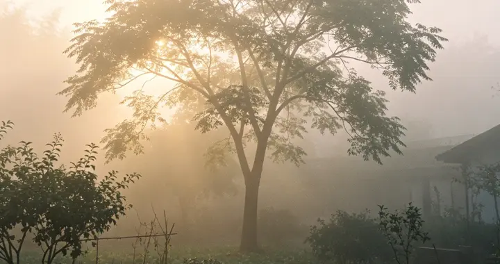 我的春天——悼恩师