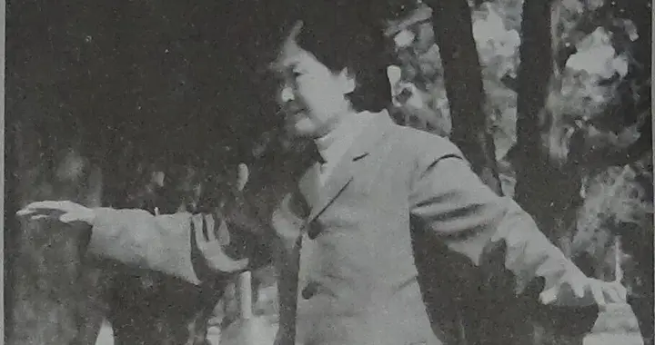 平时走路就能长功夫。行桩修炼：怎样从“溜达”到武道精髓的升华