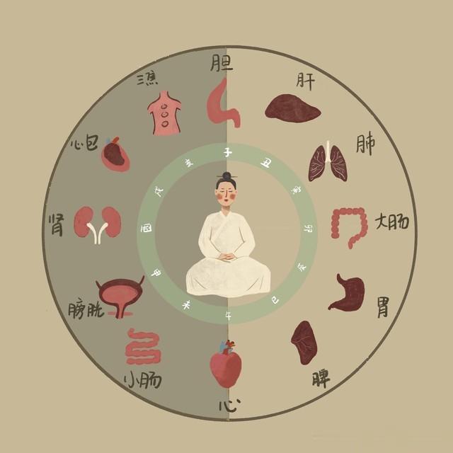 中医阴阳五行理论的科学性辨析：一个跨学科视角