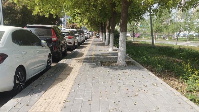 拯救爬山虎的脚：都说燃油车很快将被电动车