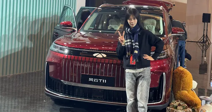 风云T11，家庭出行“安全天花板”