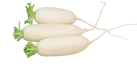 霜降会养生 安稳过一冬