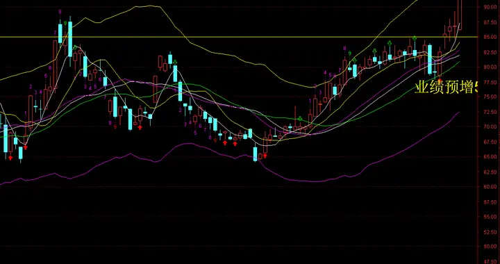 它会不会复刻光合科技走势？三五日内也来一个涨停？