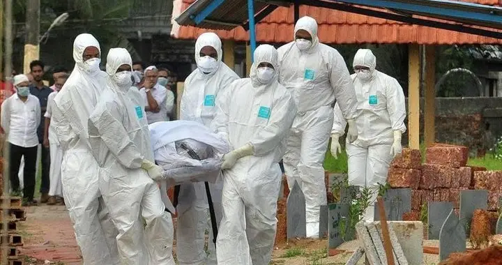 尼帕病毒风险升高，提醒：家中常备5样物品，关键时刻能保命