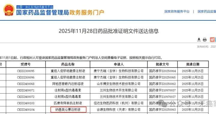 重磅！国内首款CD19 CAR-T新适应症获批上市！国研CAR-T领跑全球