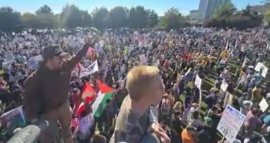 美国60年最大抗议！百万人举宪法怒吼我们没有国王，别想当独裁者