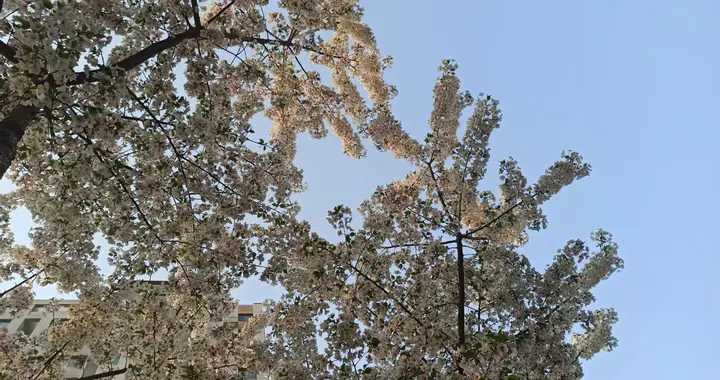 人是怎么废掉的？主要就两点：1、人的环境怎样；2、人的想法如何