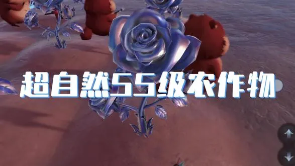55级玫瑰我是真心动了 种菜焚诀