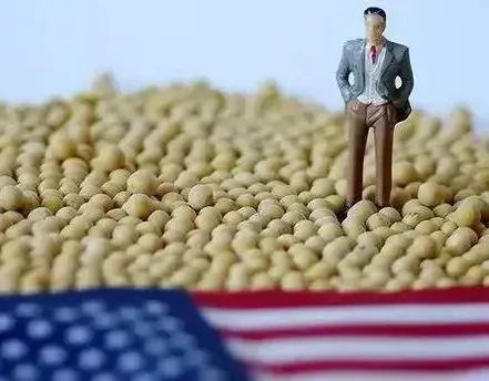 美媒哀嚎：西方粮商的好日子到头了，中国再也不会给其买单了