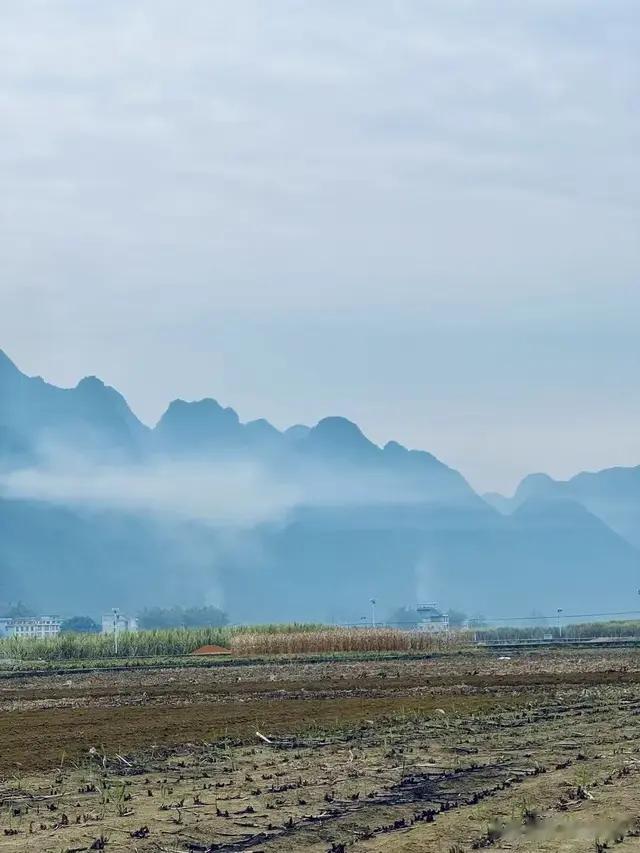 乡村风景随手拍