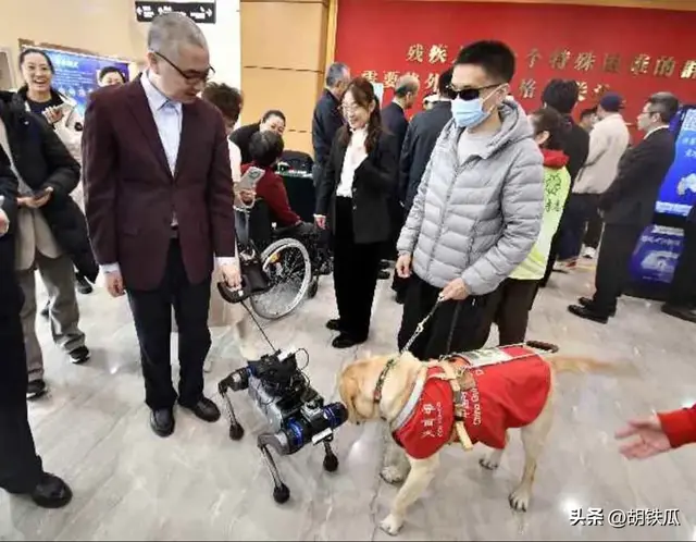 当导盲犬沦为“特权钥匙”：到底是谁在消费盲人的苦难？