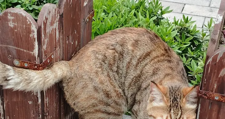 人生不如意的时候，就当是上帝放长假！