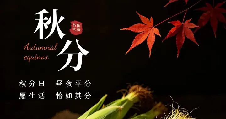 秋分｜人间半秋，岁月温柔，风来听风，叶落赏秋