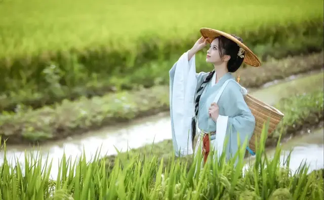 白鹭与水田的诗意，唯美，带着些许归隐意象，远胜普通的田野牧歌