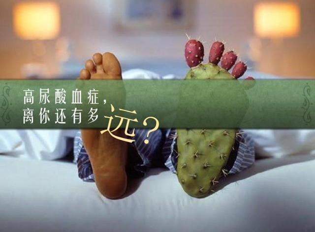 2024尿酸“新标准”已揭晓，男女数值不同！控尿酸：需多喝4茶